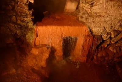 DSC_2643 (Large).JPG